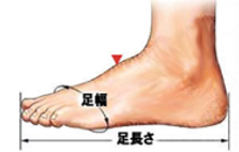 サイズの説明